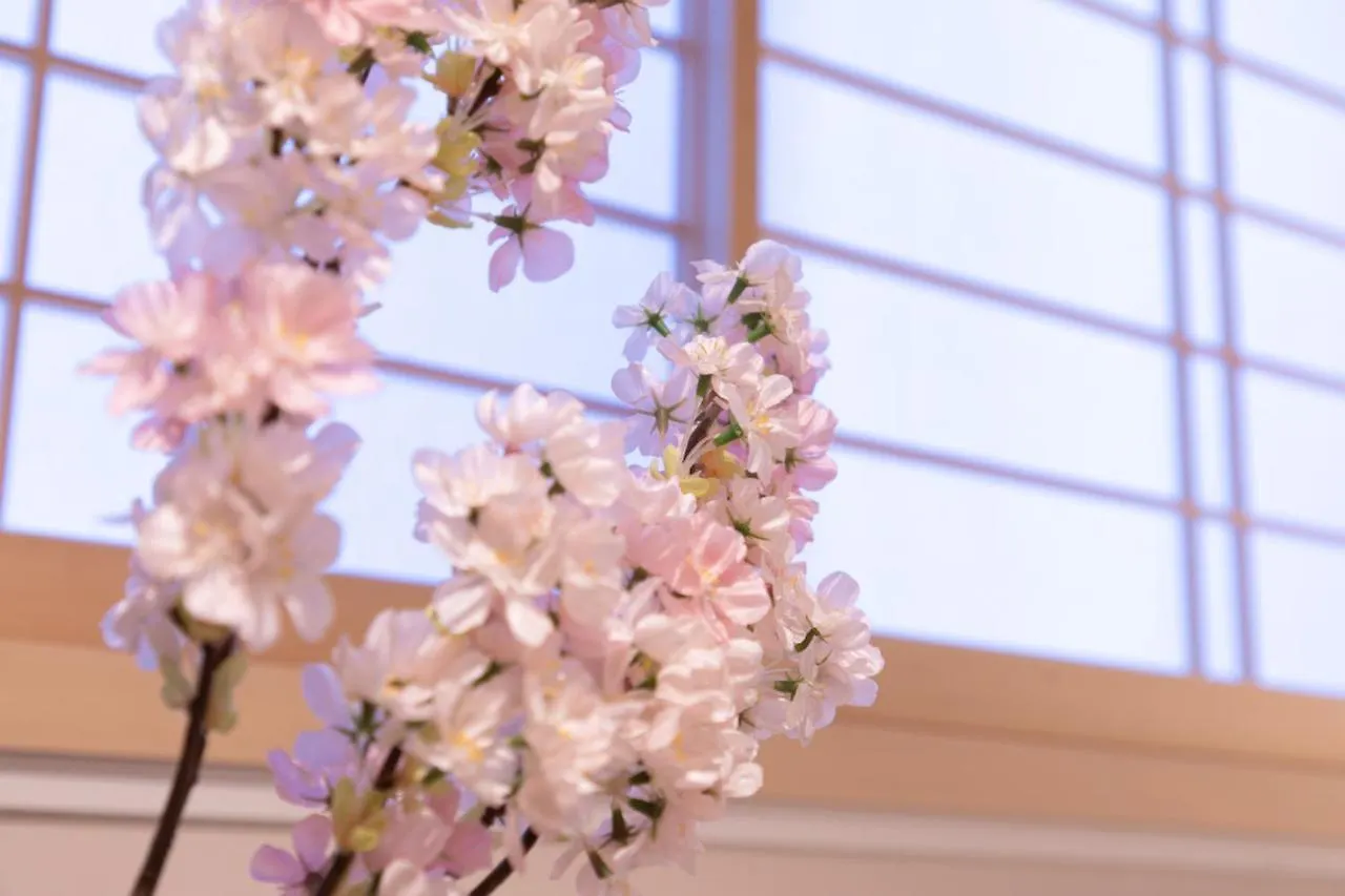 Sakura Stay Otorii Tokyo Apartment
